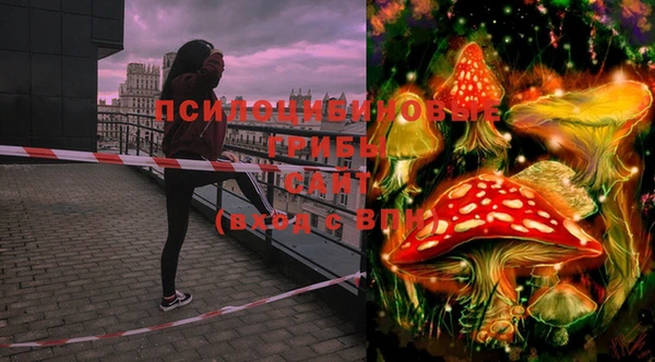 стафф Лихославль