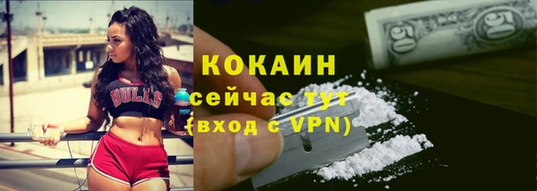 индика Липки