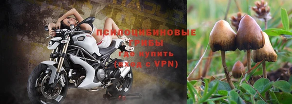 эйфоретик Магадан