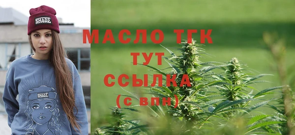 спиды Магас