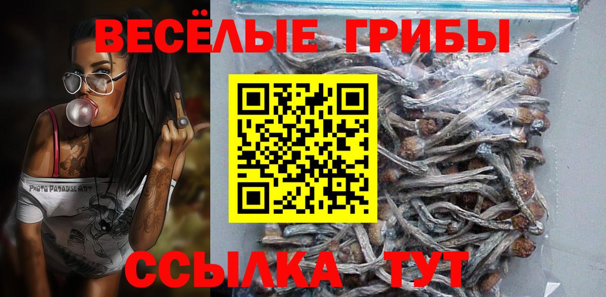 Псилоцибиновые грибы Psilocybe  Сунжа 