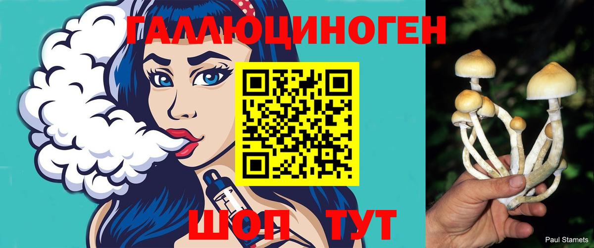 Галлюциногенные грибы Magic Shrooms  Псилоцибиновые грибы прущие грибы  Вход с VPN  Сунжа 