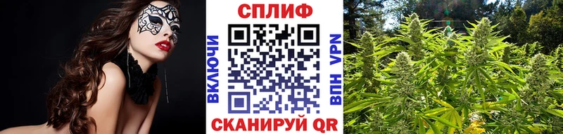 Бошки марихуана Amnesia Сунжа